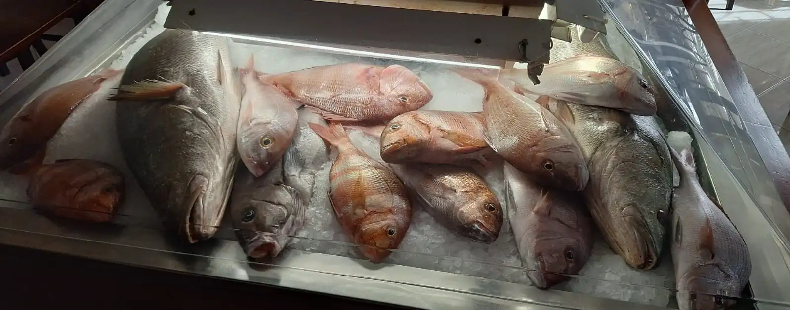 Gastronomía Don Pepe